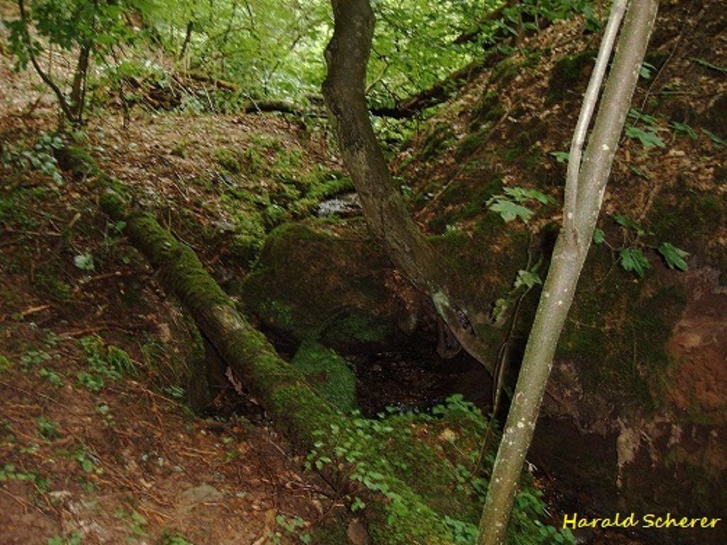 DHW0008.jpg